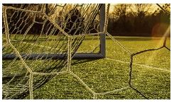 Immovable Properties